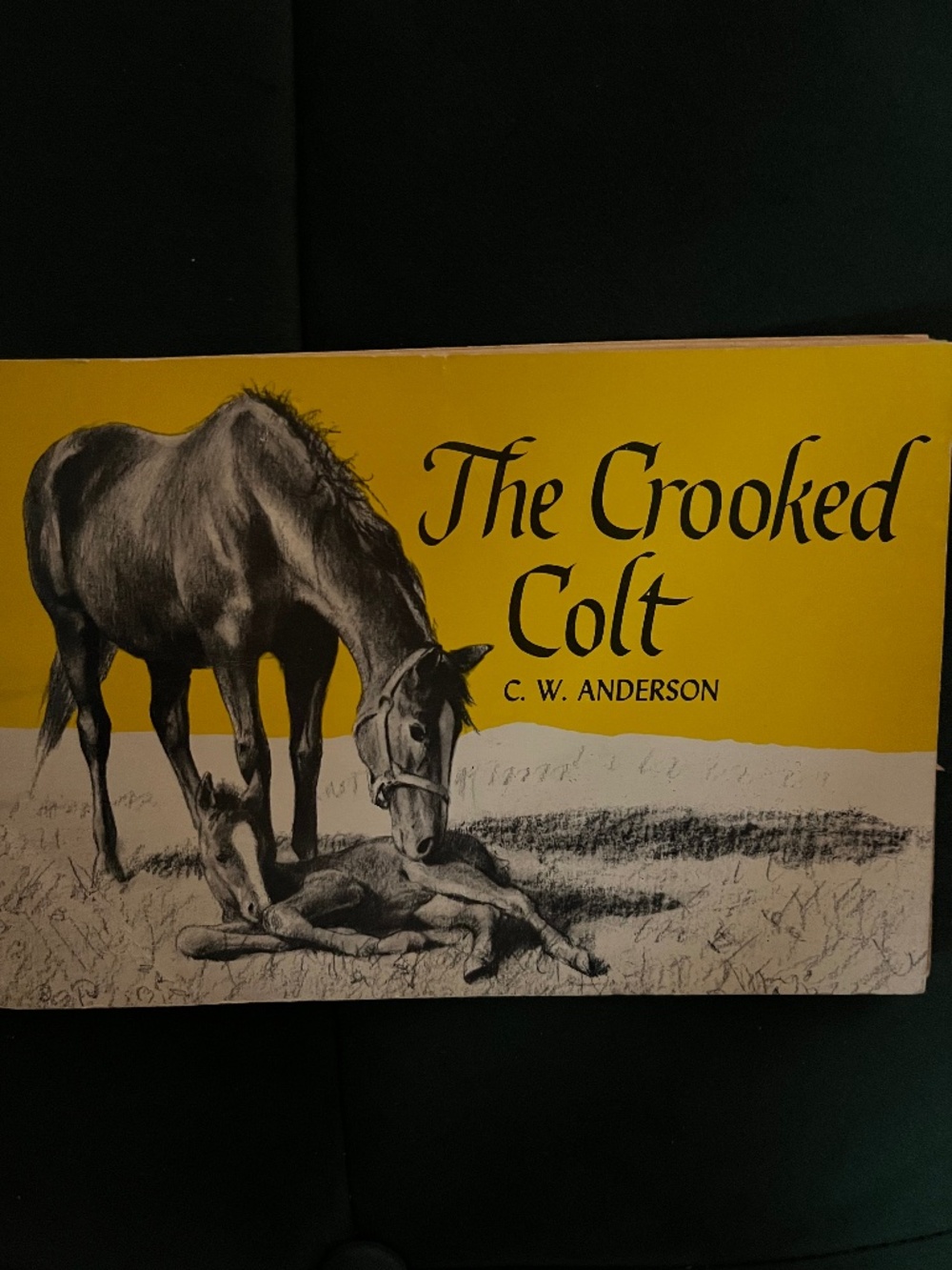 The Crooked Colt - Vintage Weekly Reader book